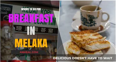 Melaka's Best Breakfast Spots: A Foodie's Guide to Morning Delights
