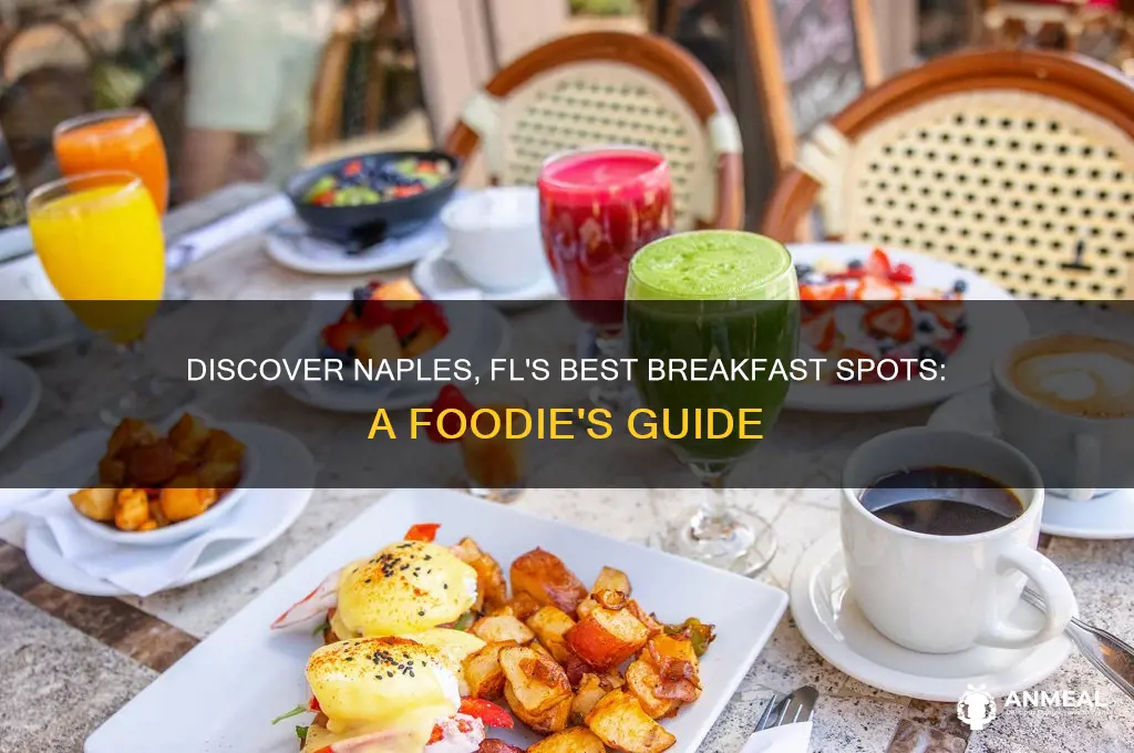 where to go for breakfast in naples fl
