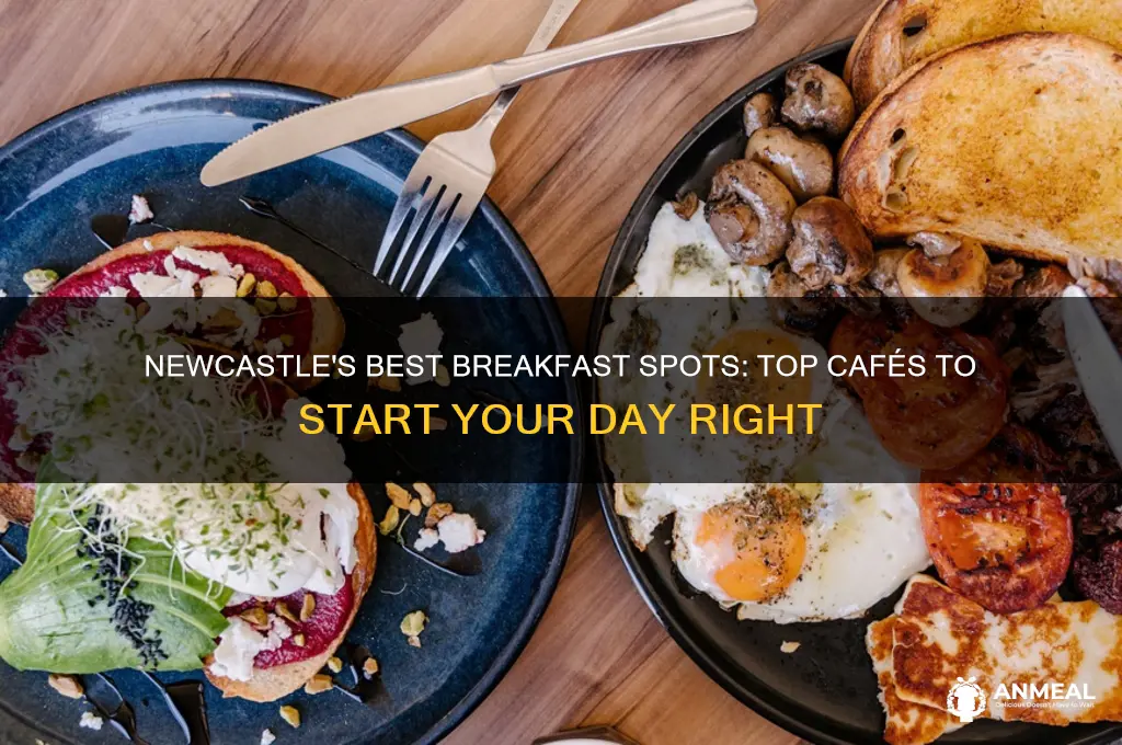 where to go for breakfast in newcastle