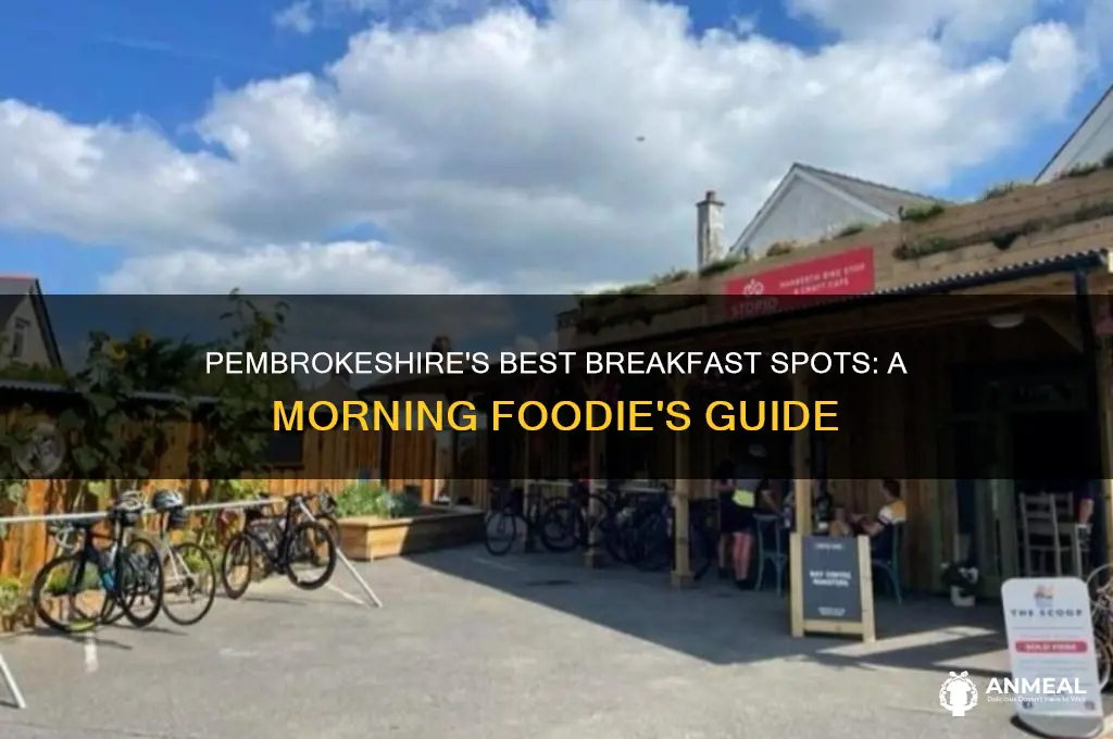 where to go for breakfast in pembrokeshire