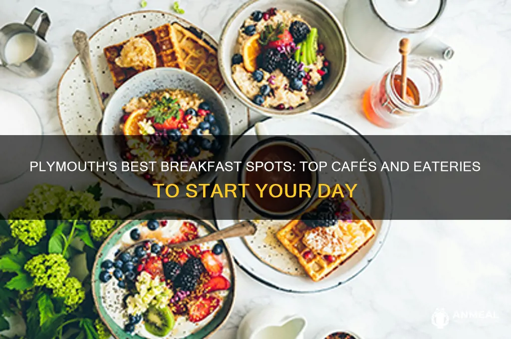 where to go for breakfast in plymouth