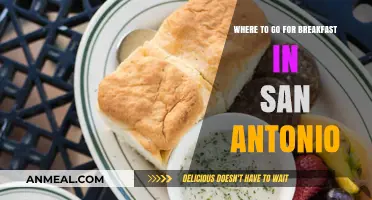 San Antonio's Best Breakfast Spots: A Foodie's Morning Guide