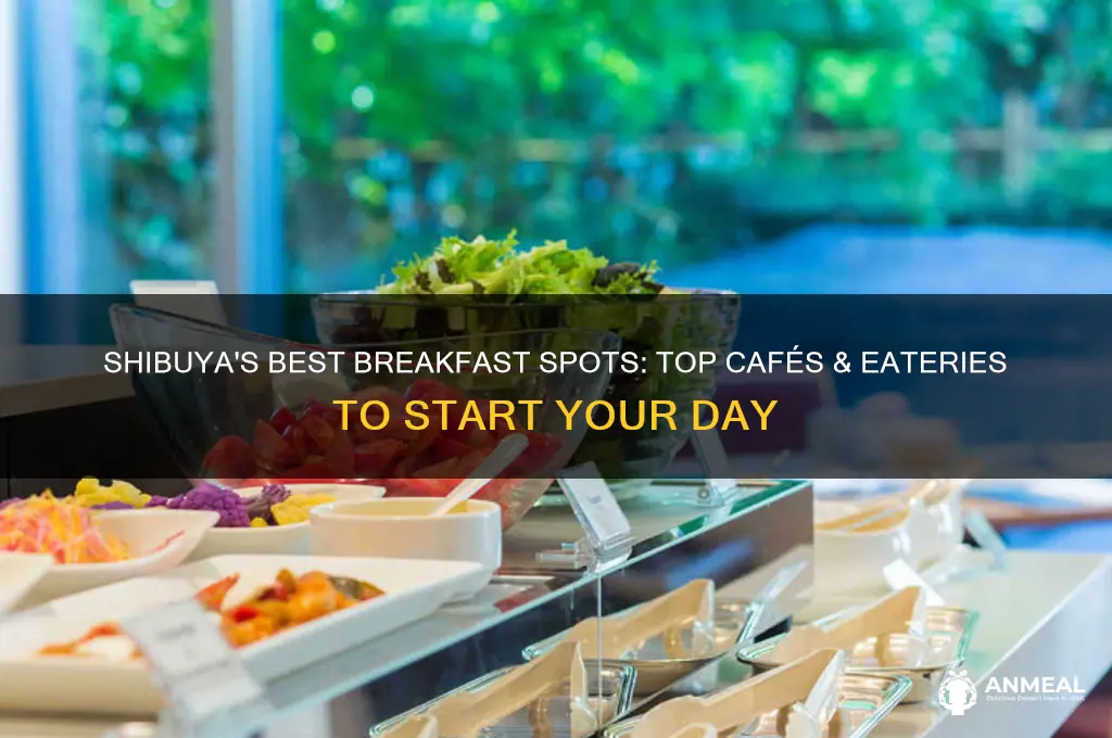 where to go for breakfast in shibuya