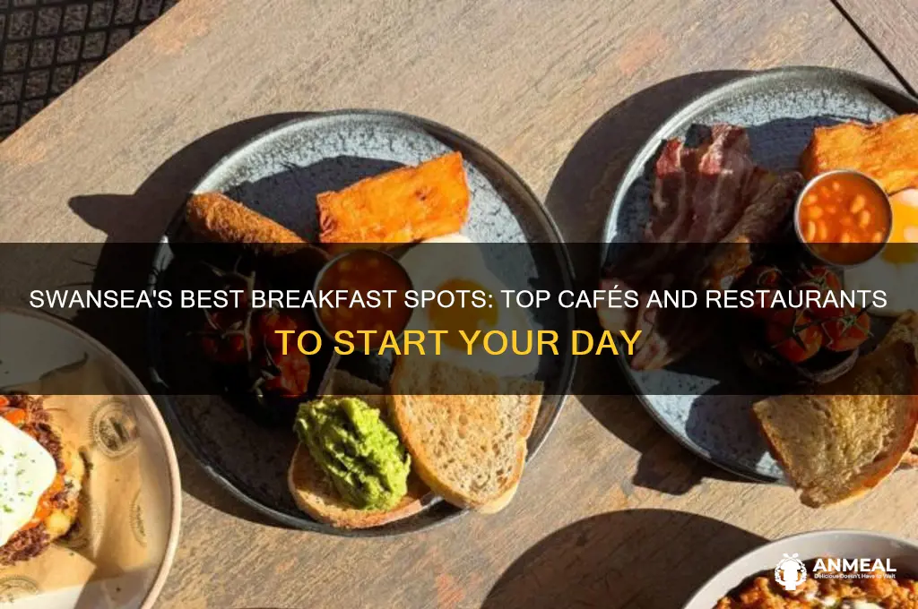 where to go for breakfast in swansea