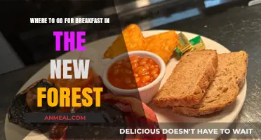Best Breakfast Spots in the New Forest: A Morning Guide