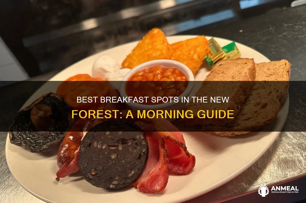 where to go for breakfast in the new forest
