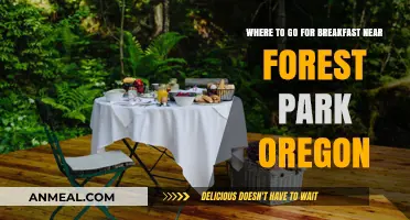Best Breakfast Spots Near Forest Park, Oregon: A Morning Guide