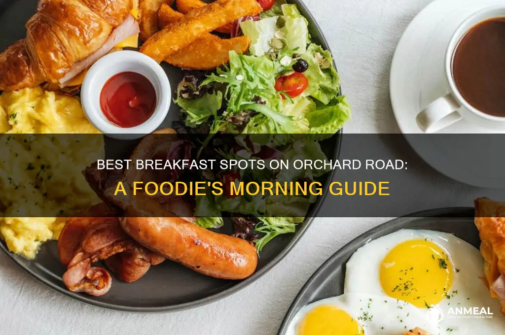 where to go for breakfast on orchard road
