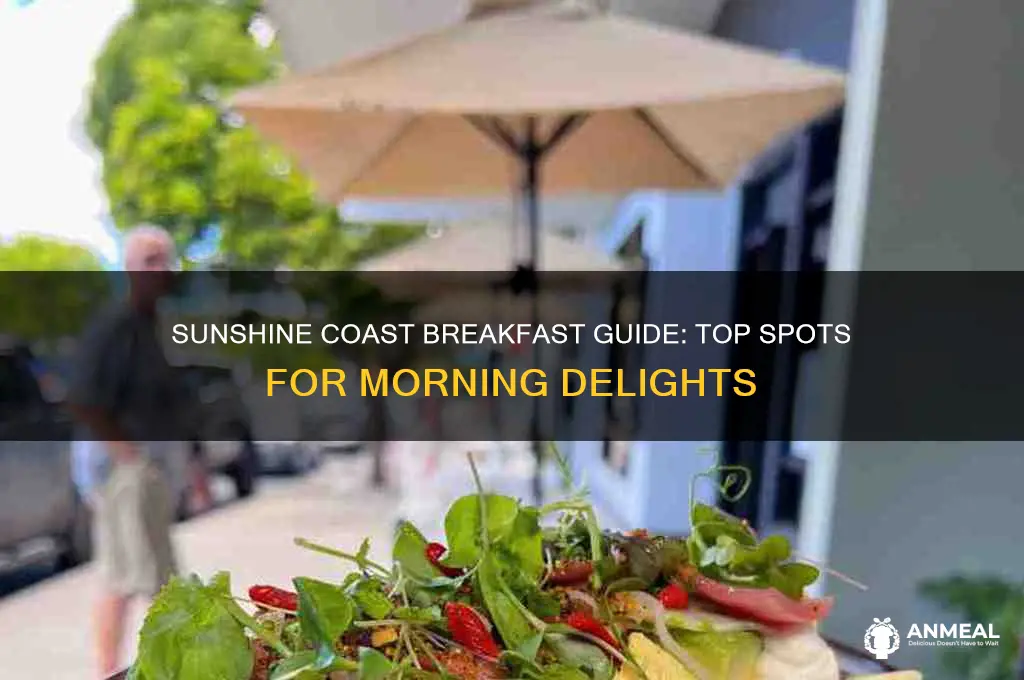 where to go for breakfast sunshine coast