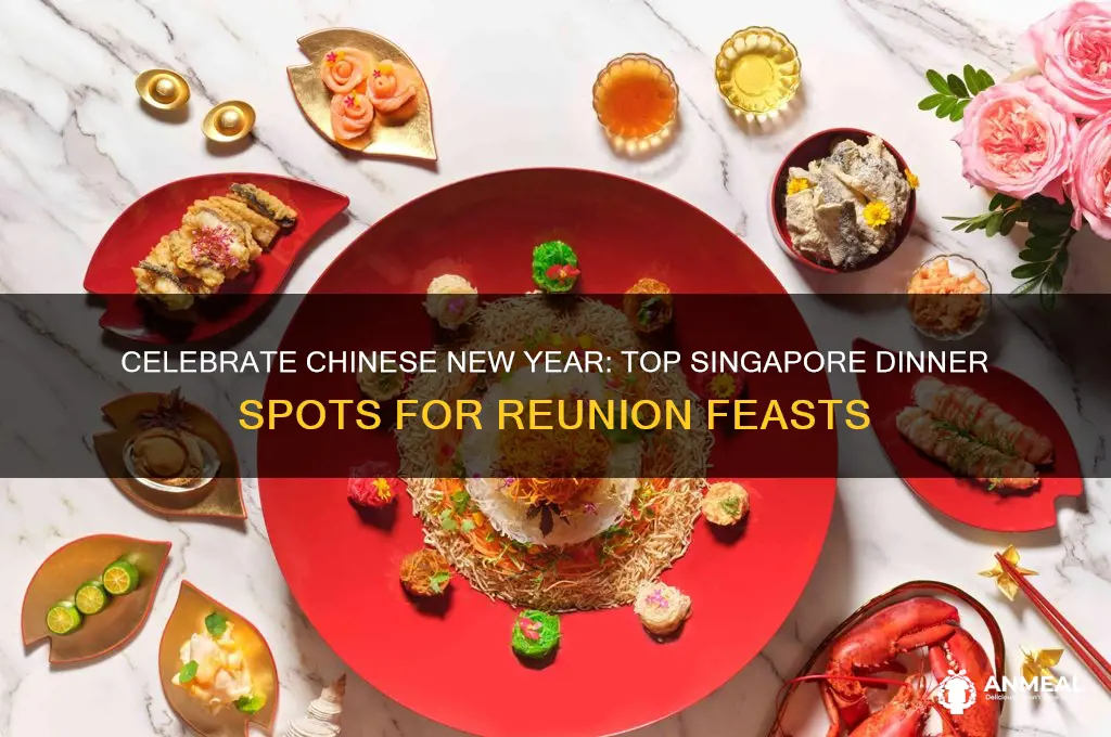 where to go for chinese new year dinner in singapore
