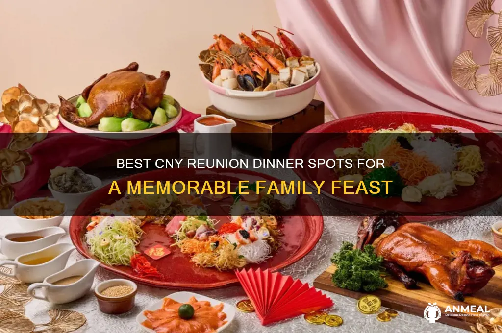 where to go for cny reunion dinner