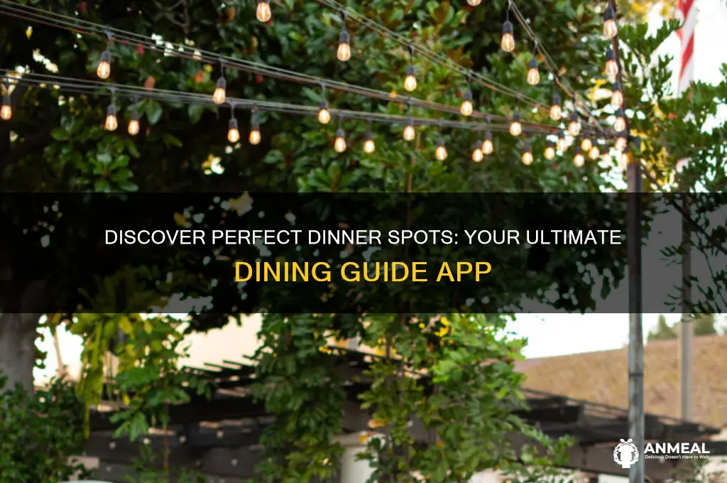 where to go for dinner app