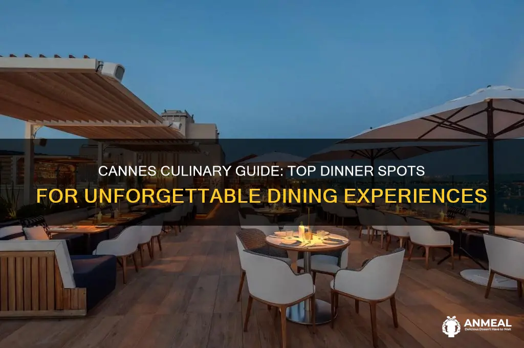 where to go for dinner in cannes