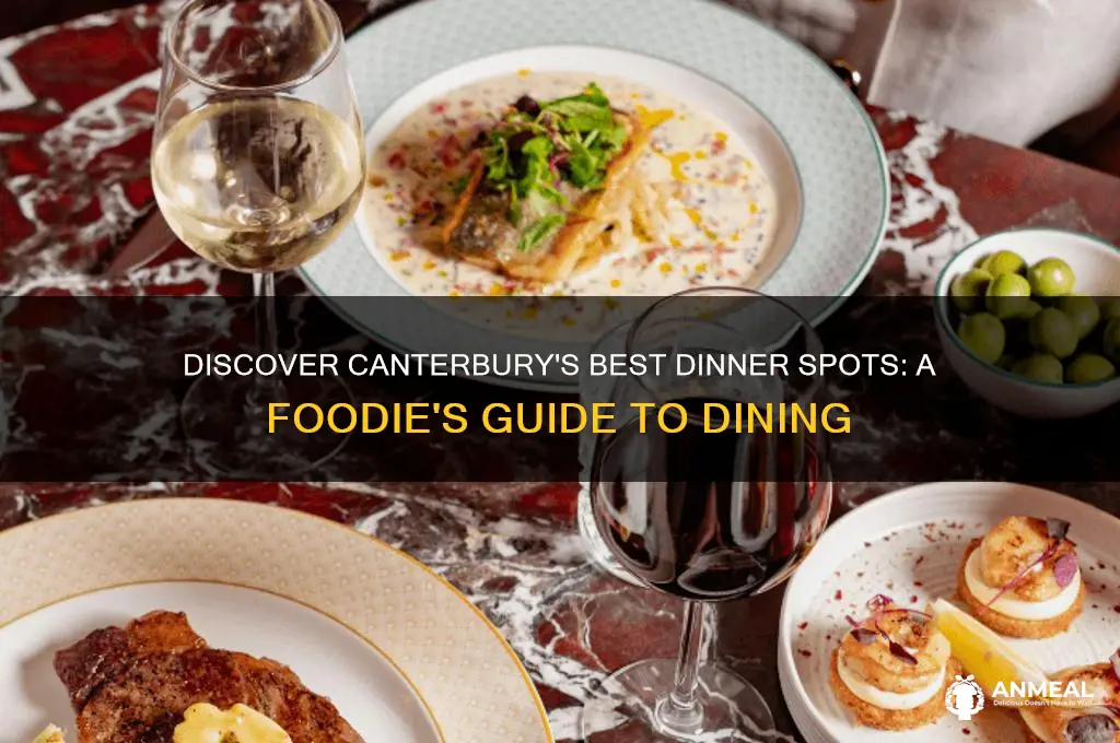 where to go for dinner in canterbury