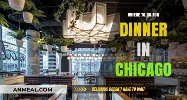 Chicago's Best Dinner Spots: A Foodie's Guide to Top Restaurants
