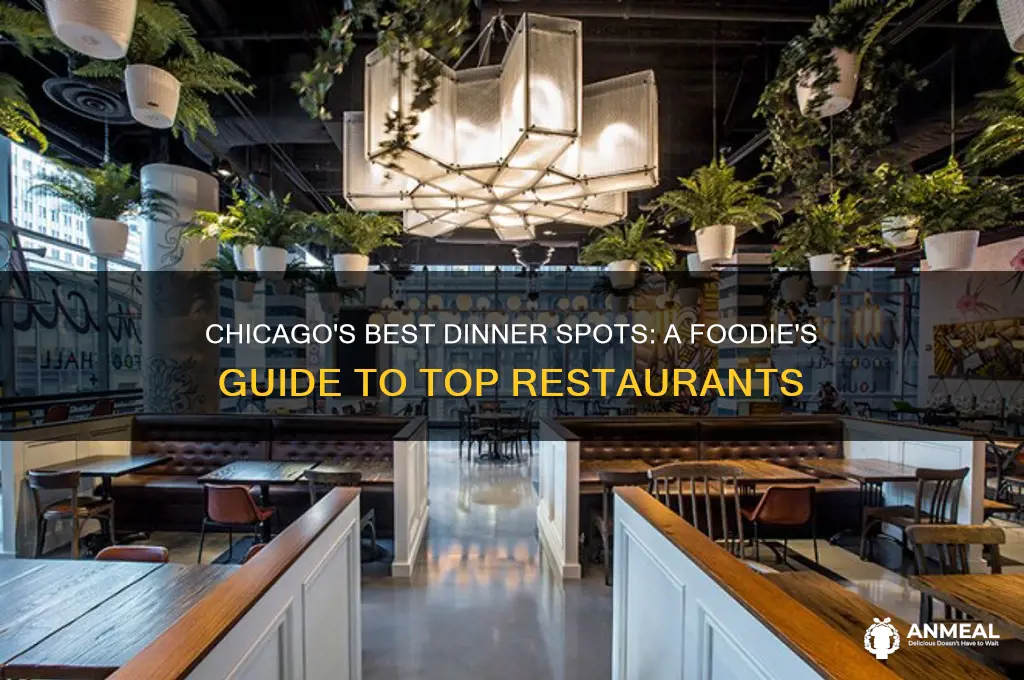 where to go for dinner in chicago