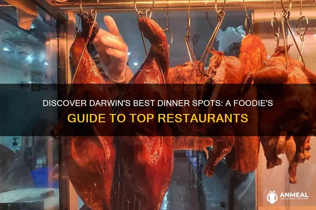 where to go for dinner in darwin