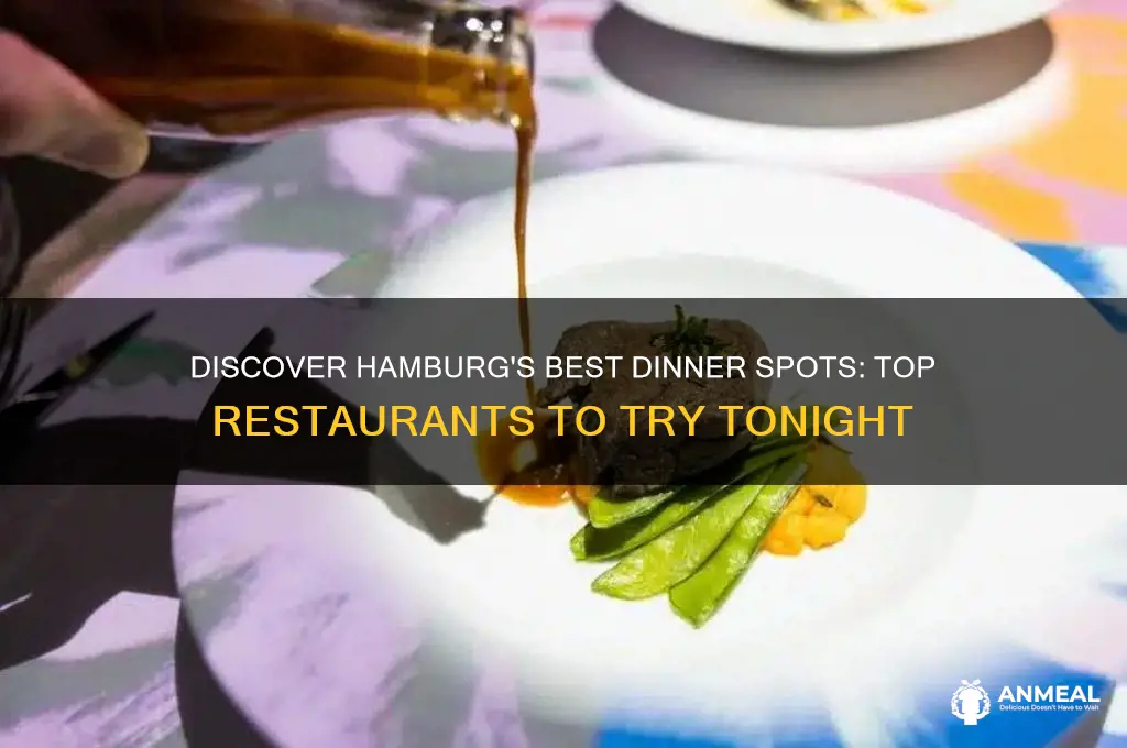 where to go for dinner in hamburg
