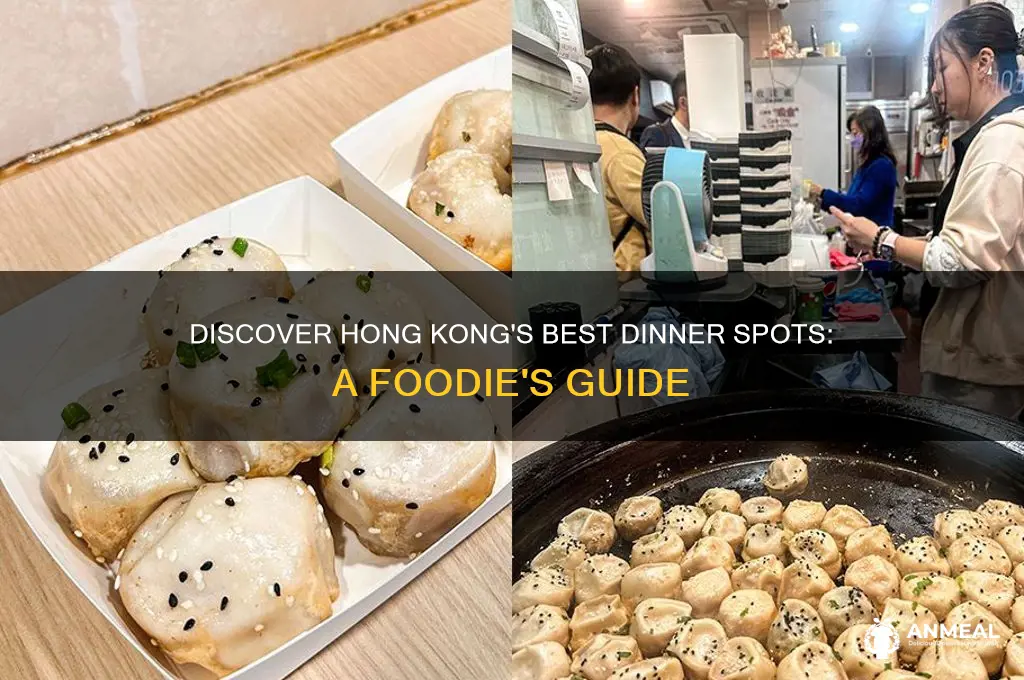 where to go for dinner in hong kong