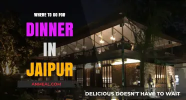 Jaipur's Best Dinner Spots: A Guide to Top Restaurants & Cuisine
