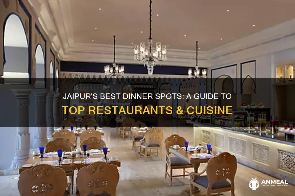 where to go for dinner in jaipur