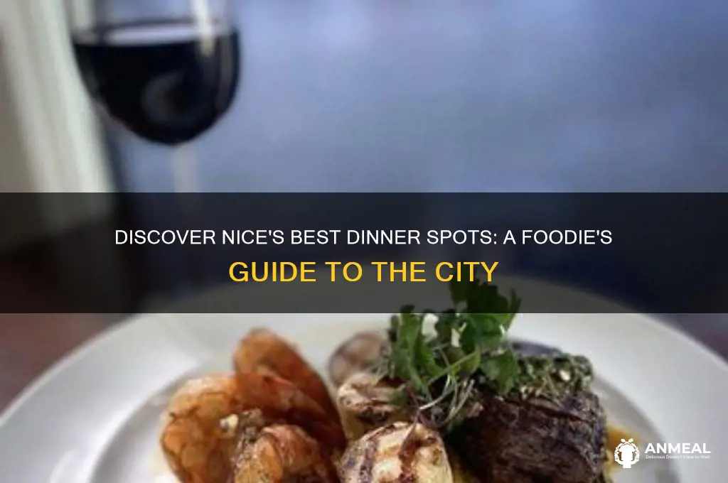where to go for dinner in nice