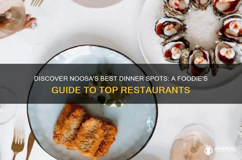 where to go for dinner in noosa