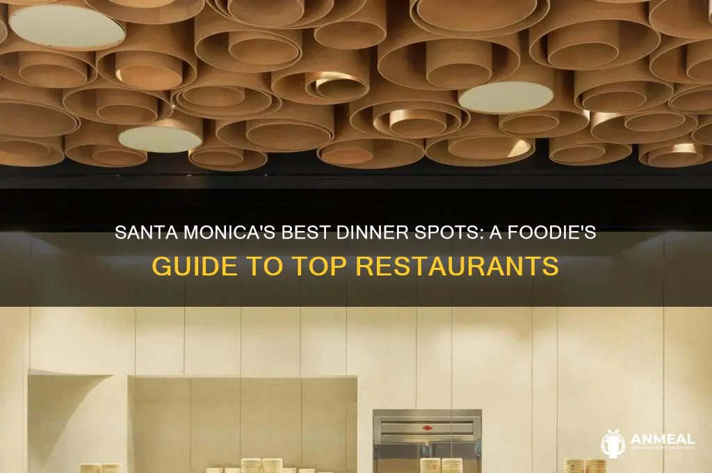 where to go for dinner in santa monica