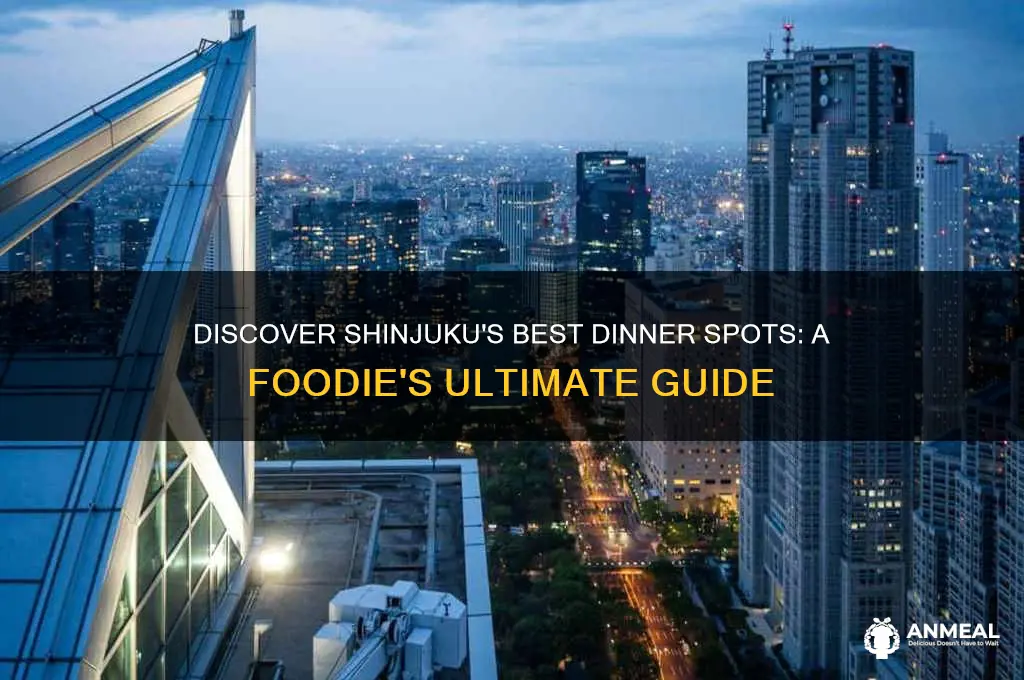 where to go for dinner in shinjuku
