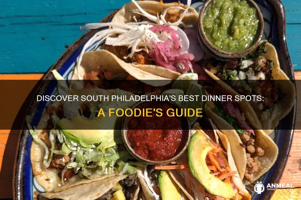 where to go for dinner in suth phiadelphia