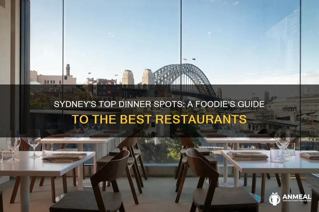 where to go for dinner in sydney