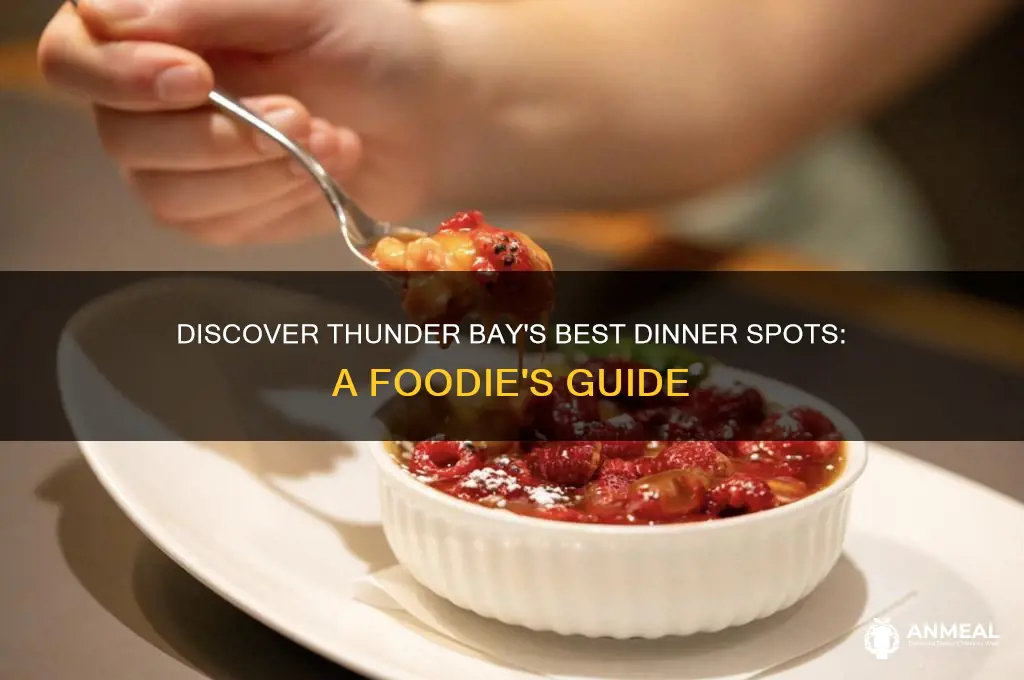 where to go for dinner in thunder bay