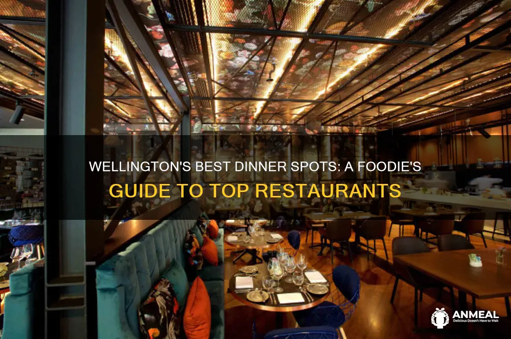 where to go for dinner in wellington