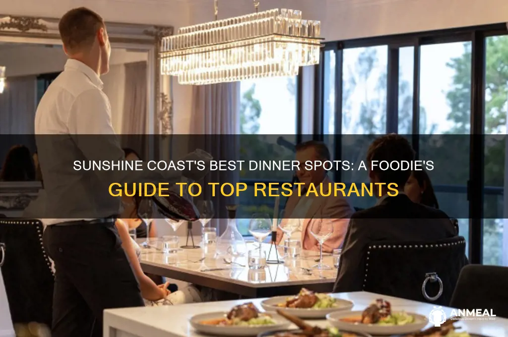 where to go for dinner sunshine coast