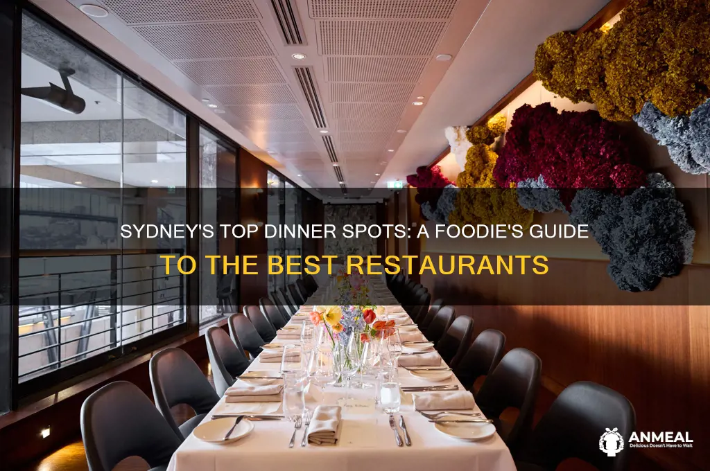 where to go for dinner sydney