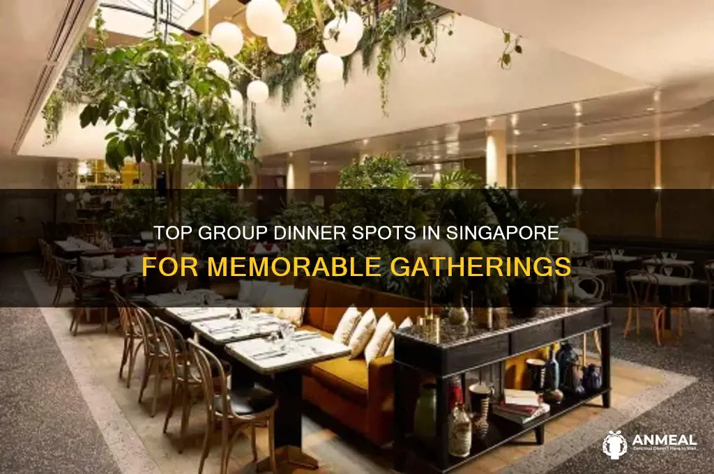 where to go for group dinner in singapore