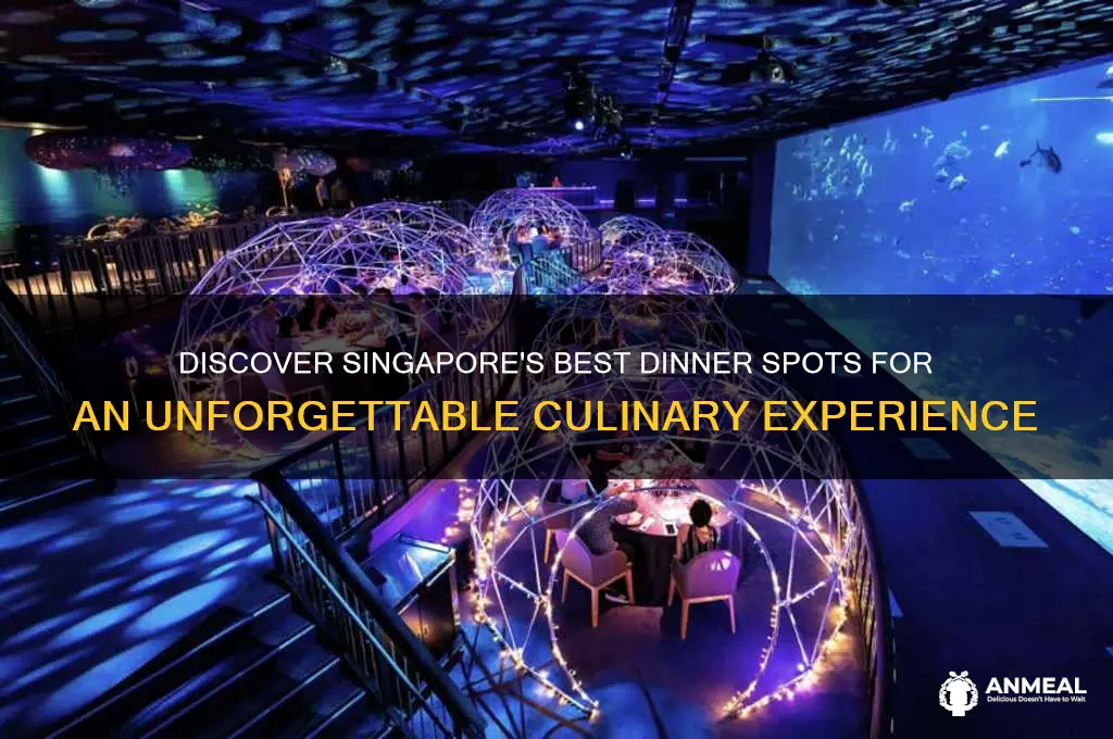 where to go for nice dinner in singapore