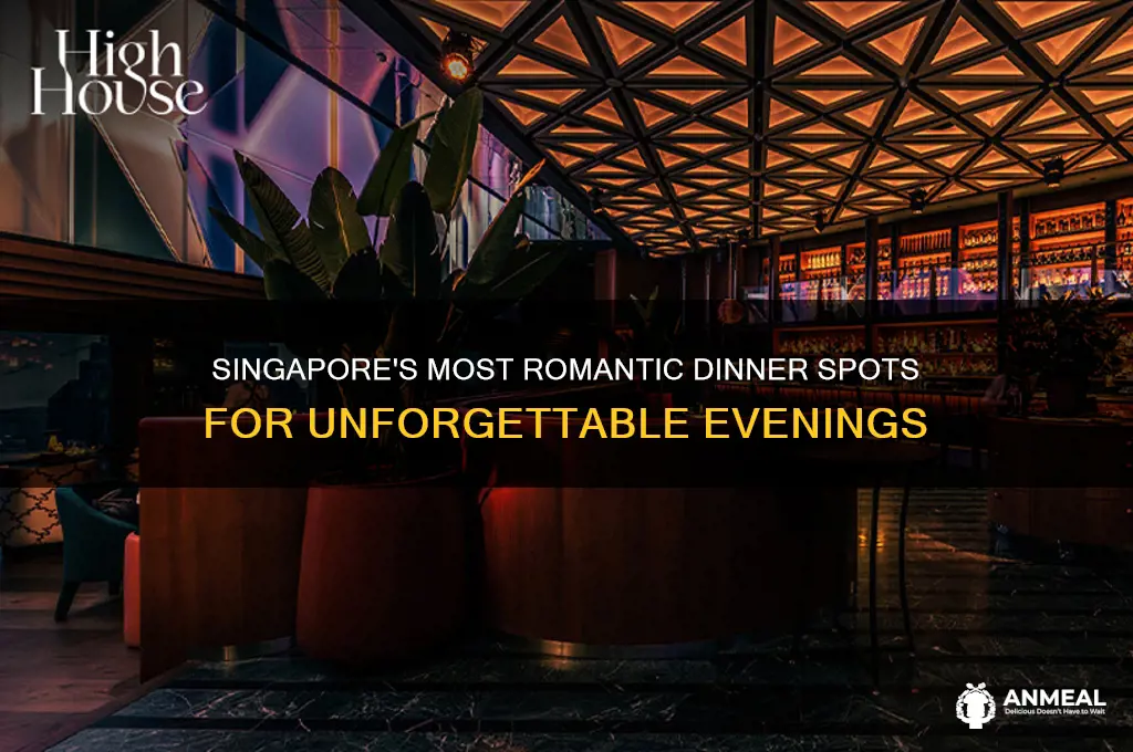 where to go for romantic dinner in singapore