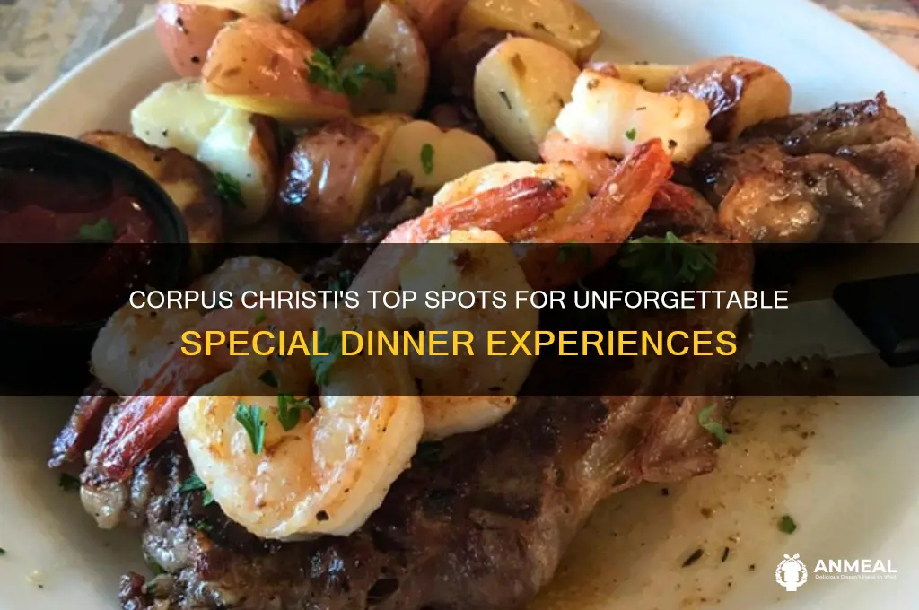 where to go for special dinner in corpus christi