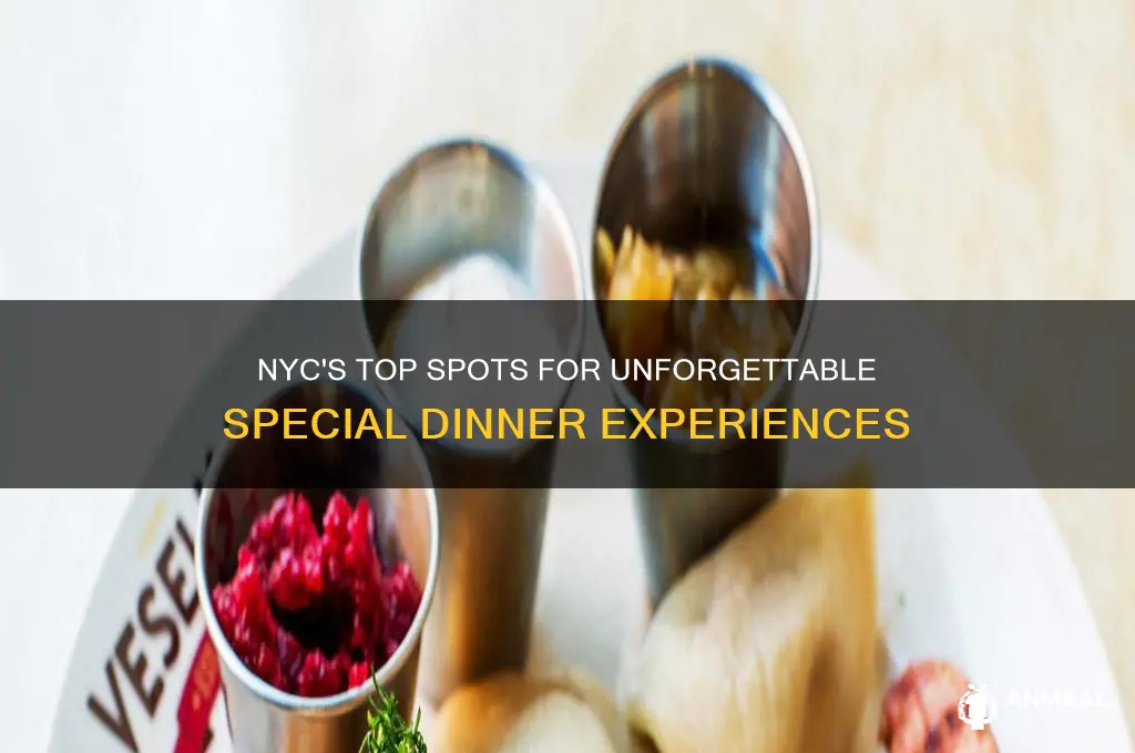 where to go for spsecial dinner in nyc