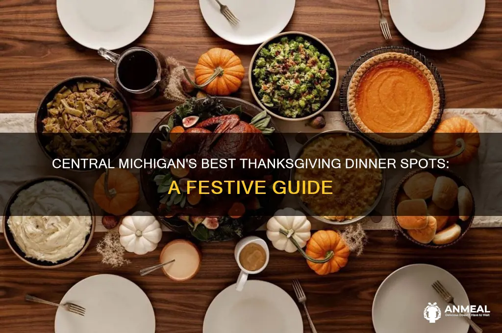 where to go for thansgiving dinner in central michigan