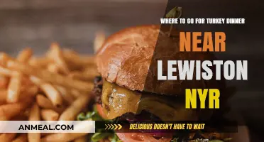Best Turkey Dinner Spots Near Lewiston NYR: A Local's Guide