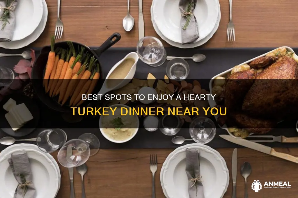 where to go for turkey dinner