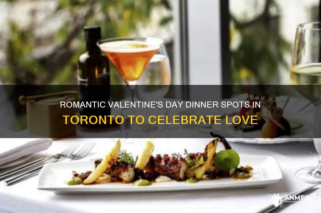 where to go for valentine day dinner in toronto