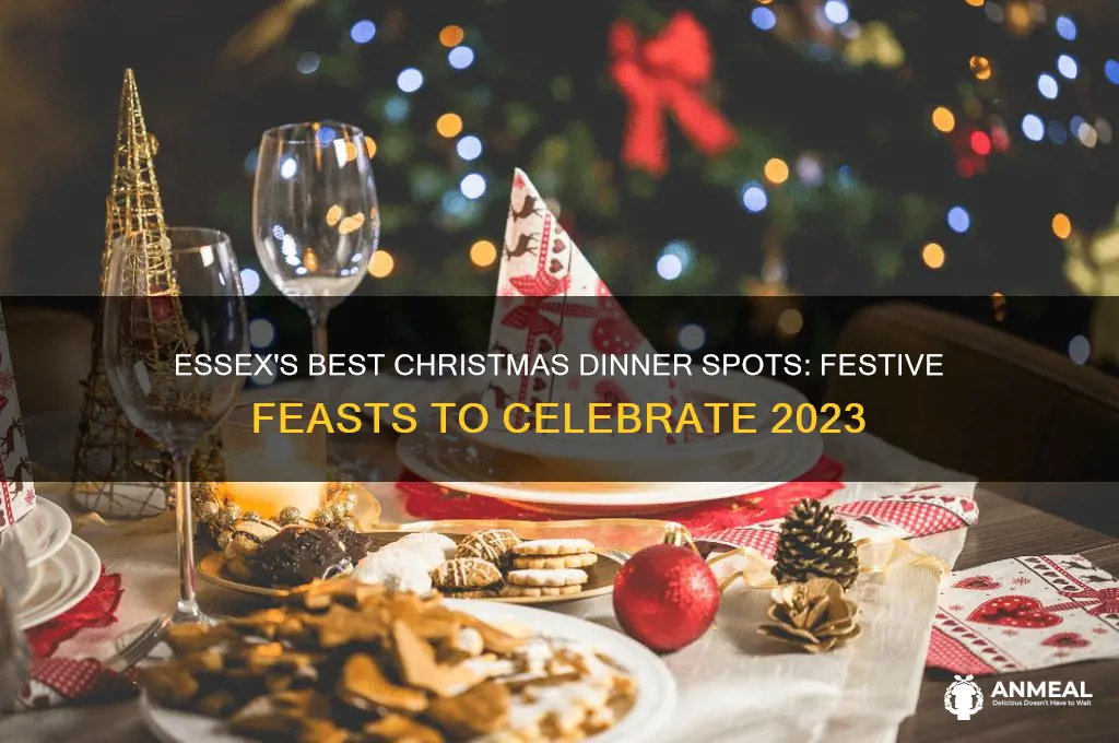 where to go for xmas dinner in essex