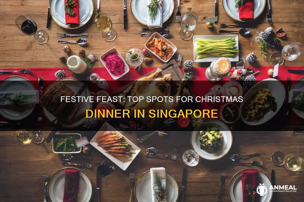 where to go for xmas dinner in singapore