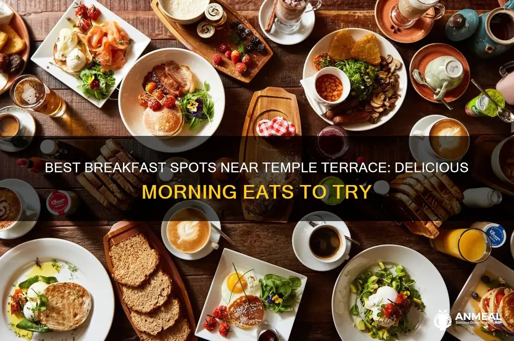 where to go gor breakfast near temple terrace