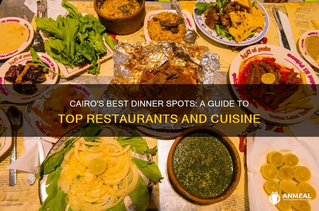where to go in cairo for dinner