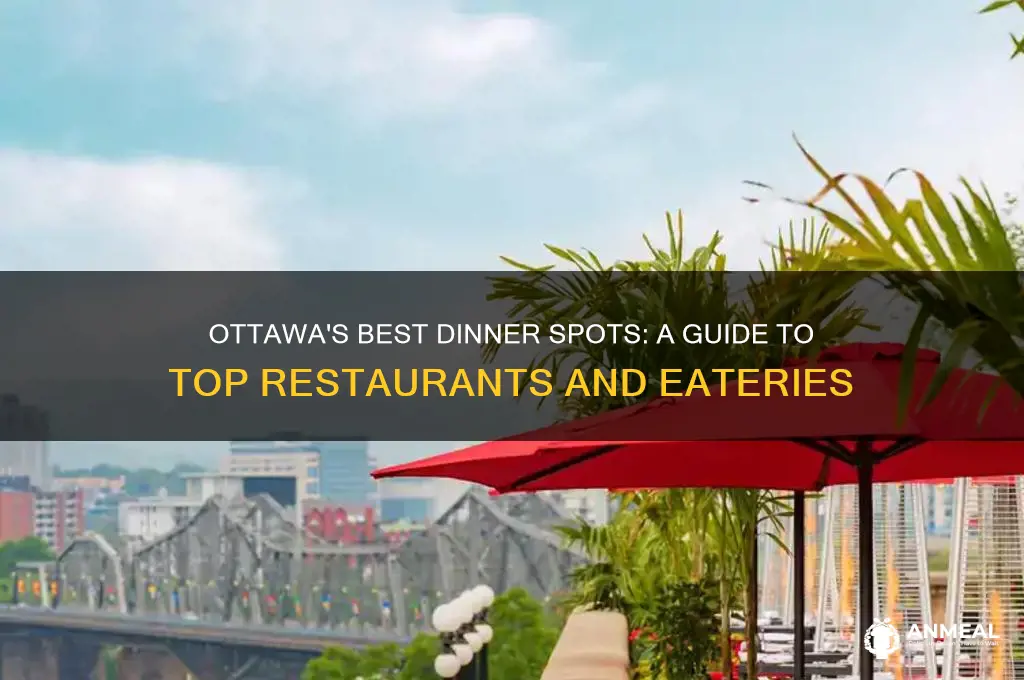 where to go in ottawa for dinner