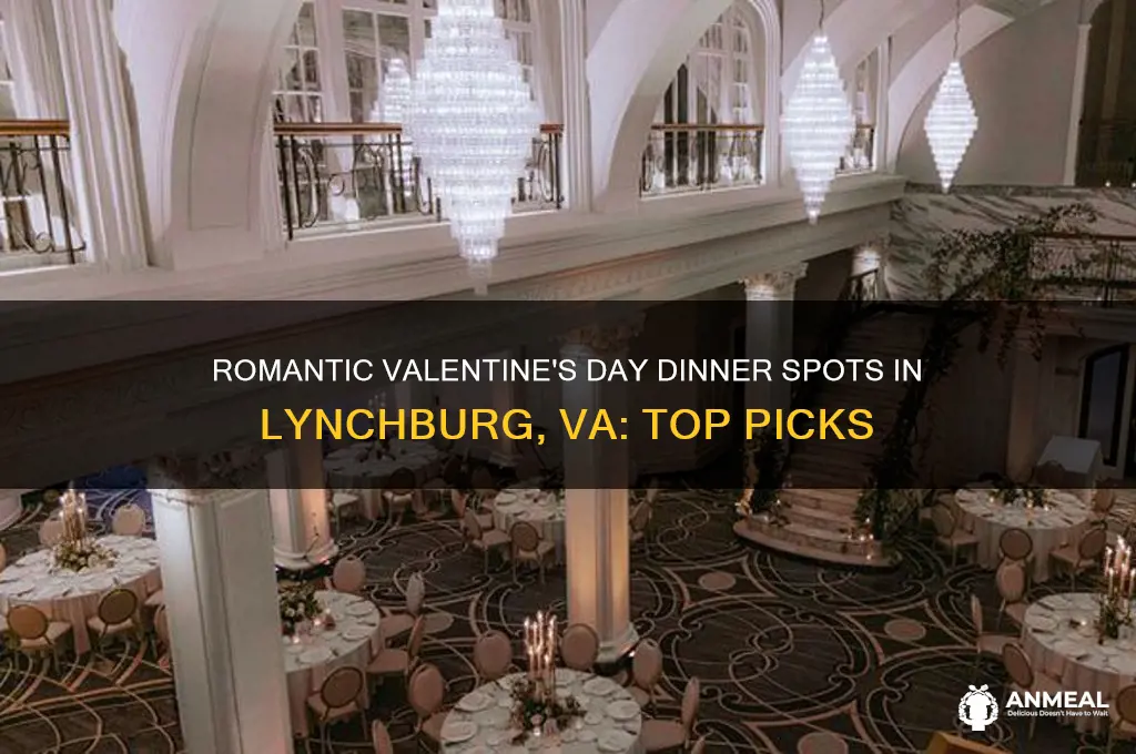 where to go on valentines day to dinner lynchburg va